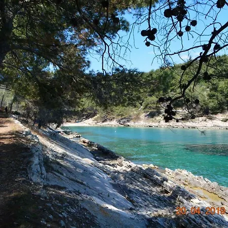 Villa Sealodge: Luxurious Beachfront With Private Pool And Sea Views Rogac