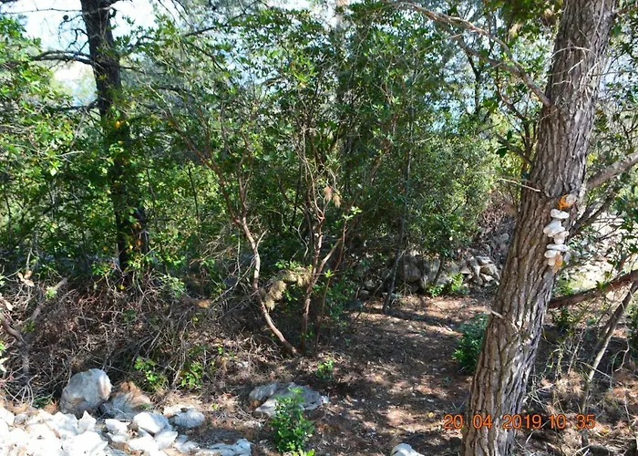 Dreamlodge - Luxe Dalmatian Villa, Private Pool, Parking, Mooring, Breathtaking Sea & Mountain View, At 150 M From Idyllic Private וילה